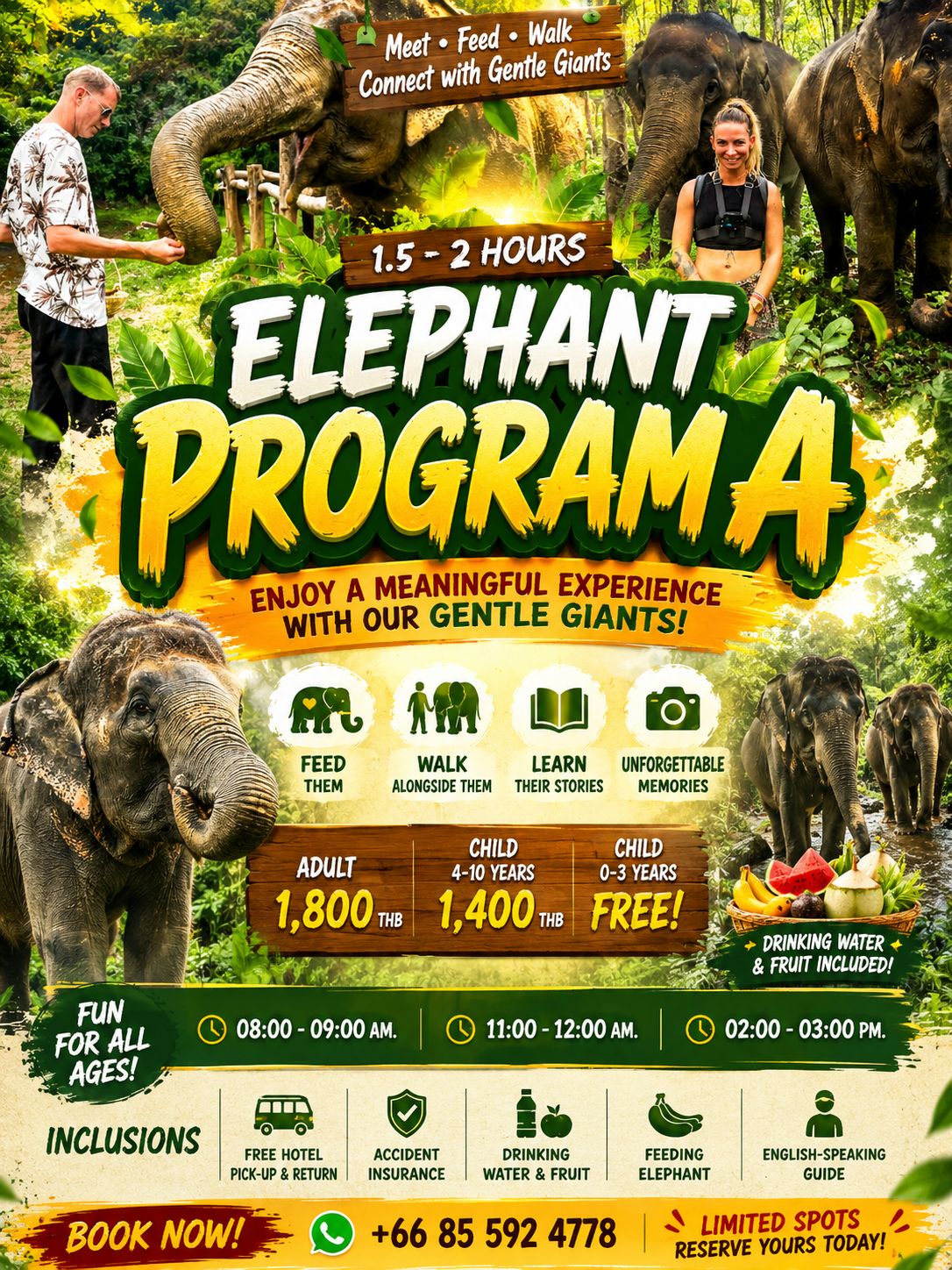 Enjoy with Elephant