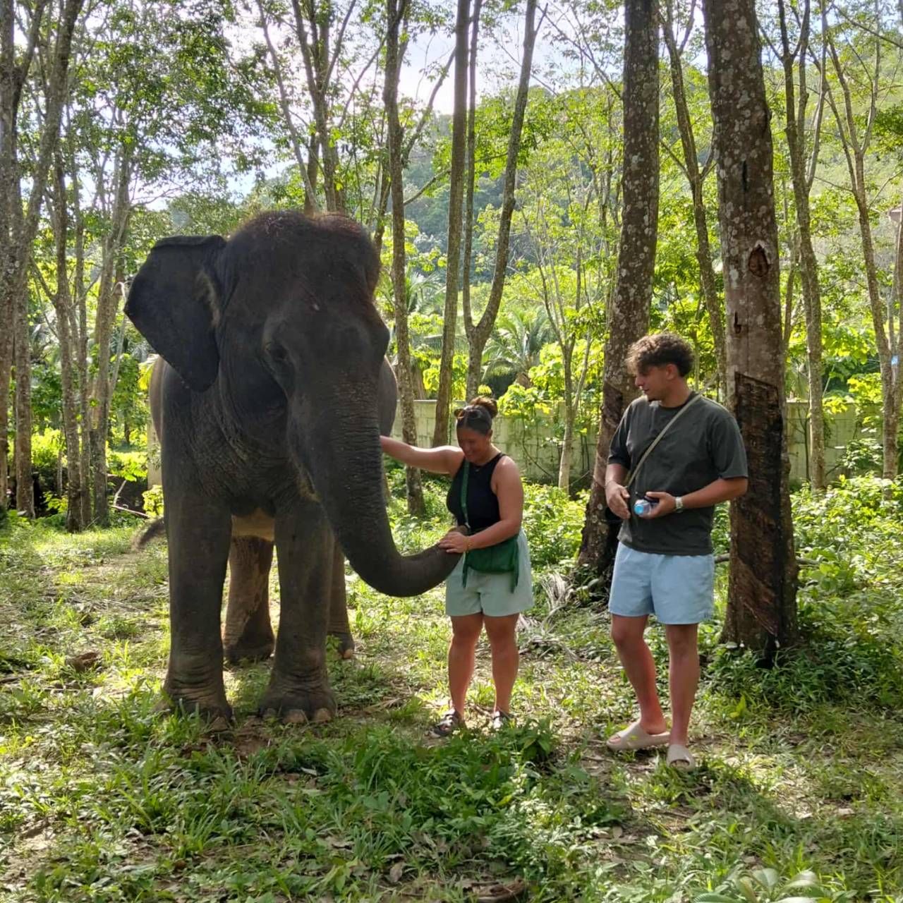 Enjoy with Elephant