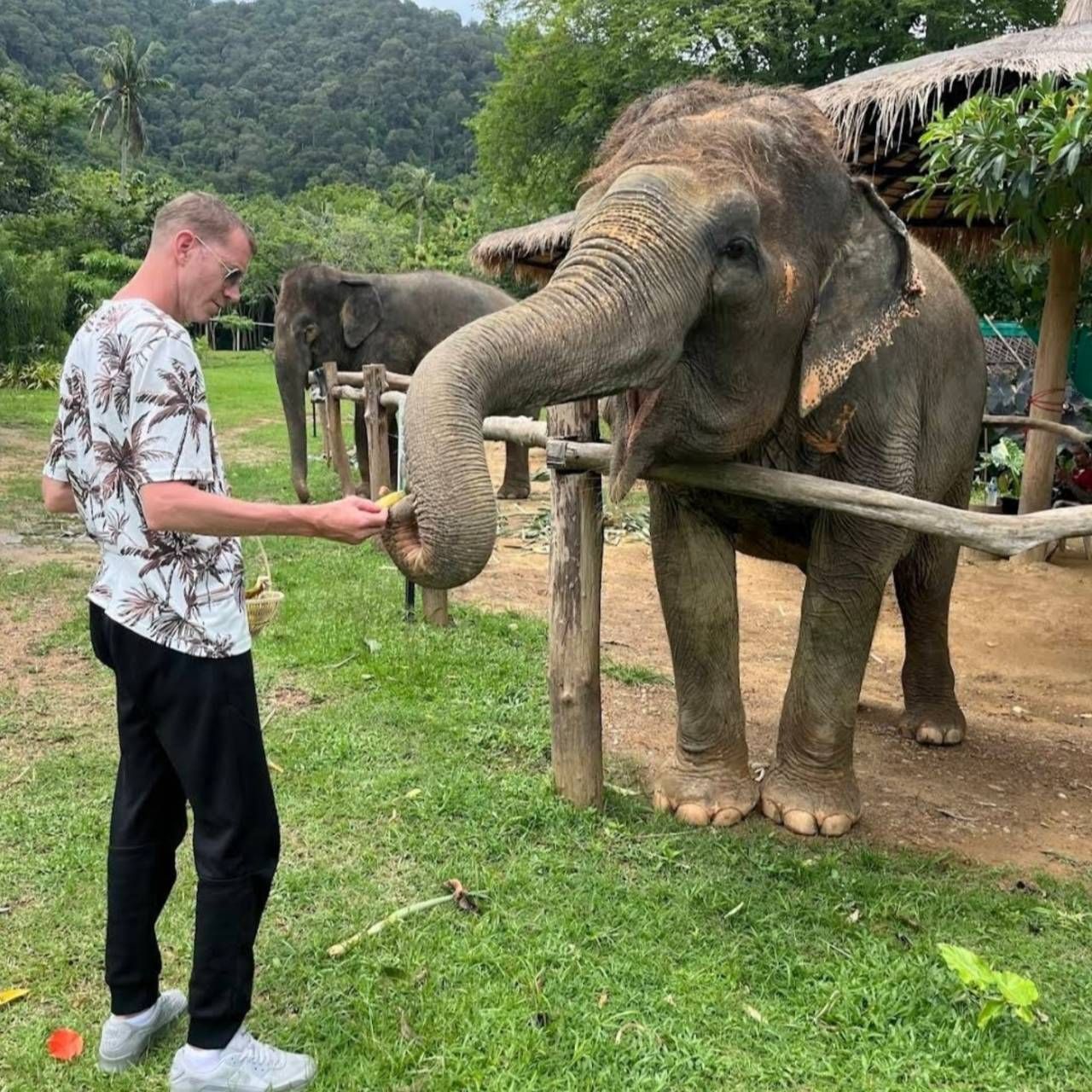 Enjoy with Elephant