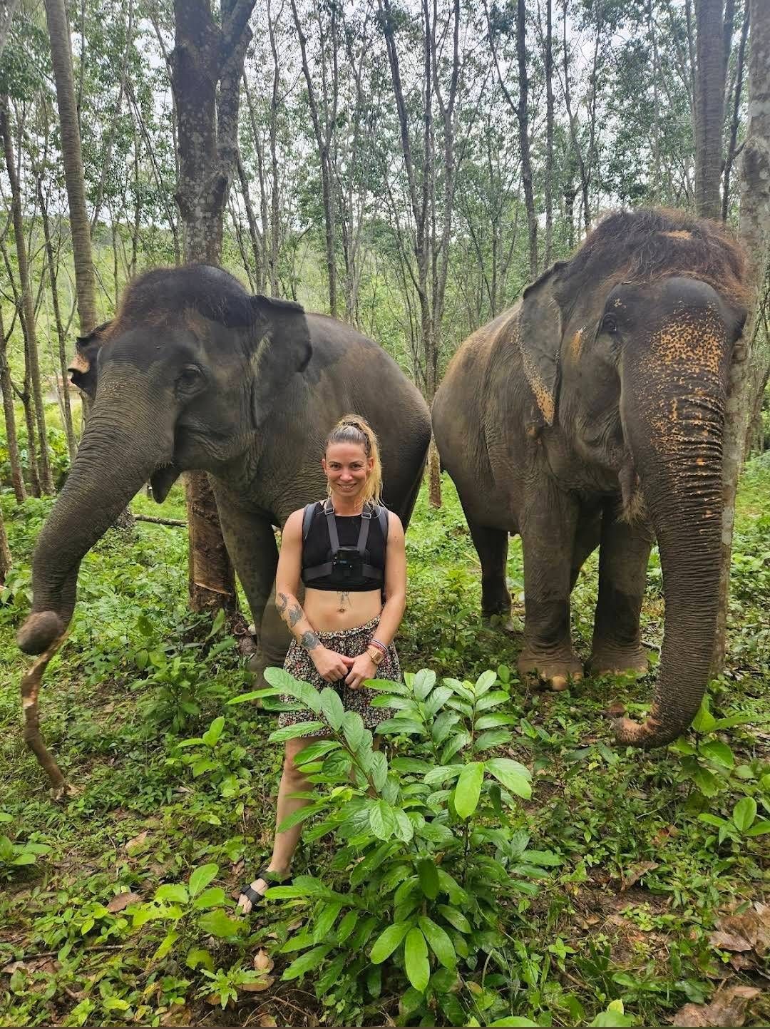 Enjoy with Elephant
