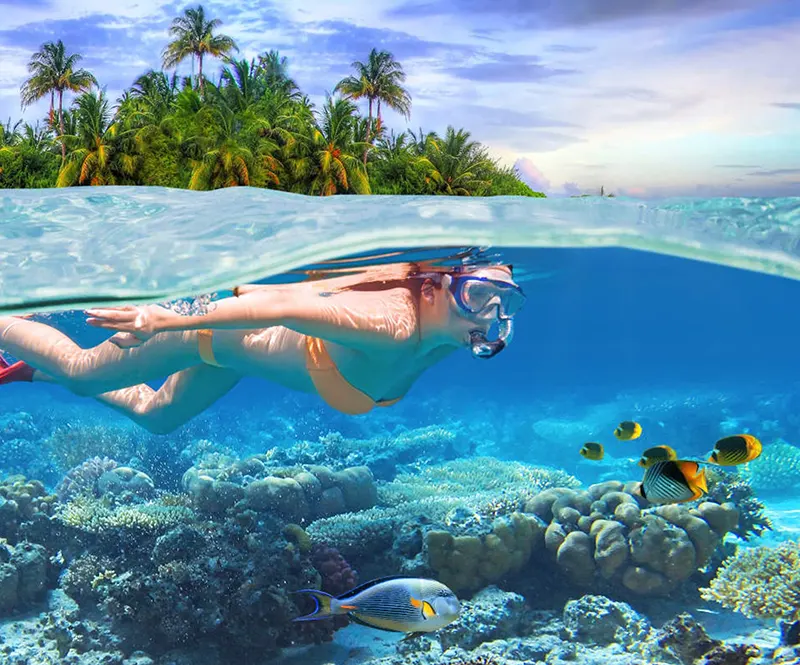 Koh Rok & Koh Haa Snorkelling Day Trip by Speedboat