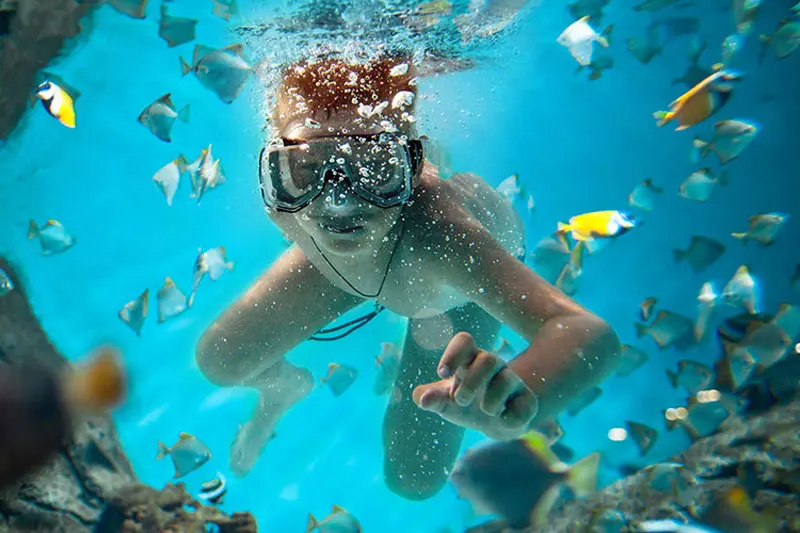Koh Rok & Koh Haa Snorkelling Day Trip by Speedboat